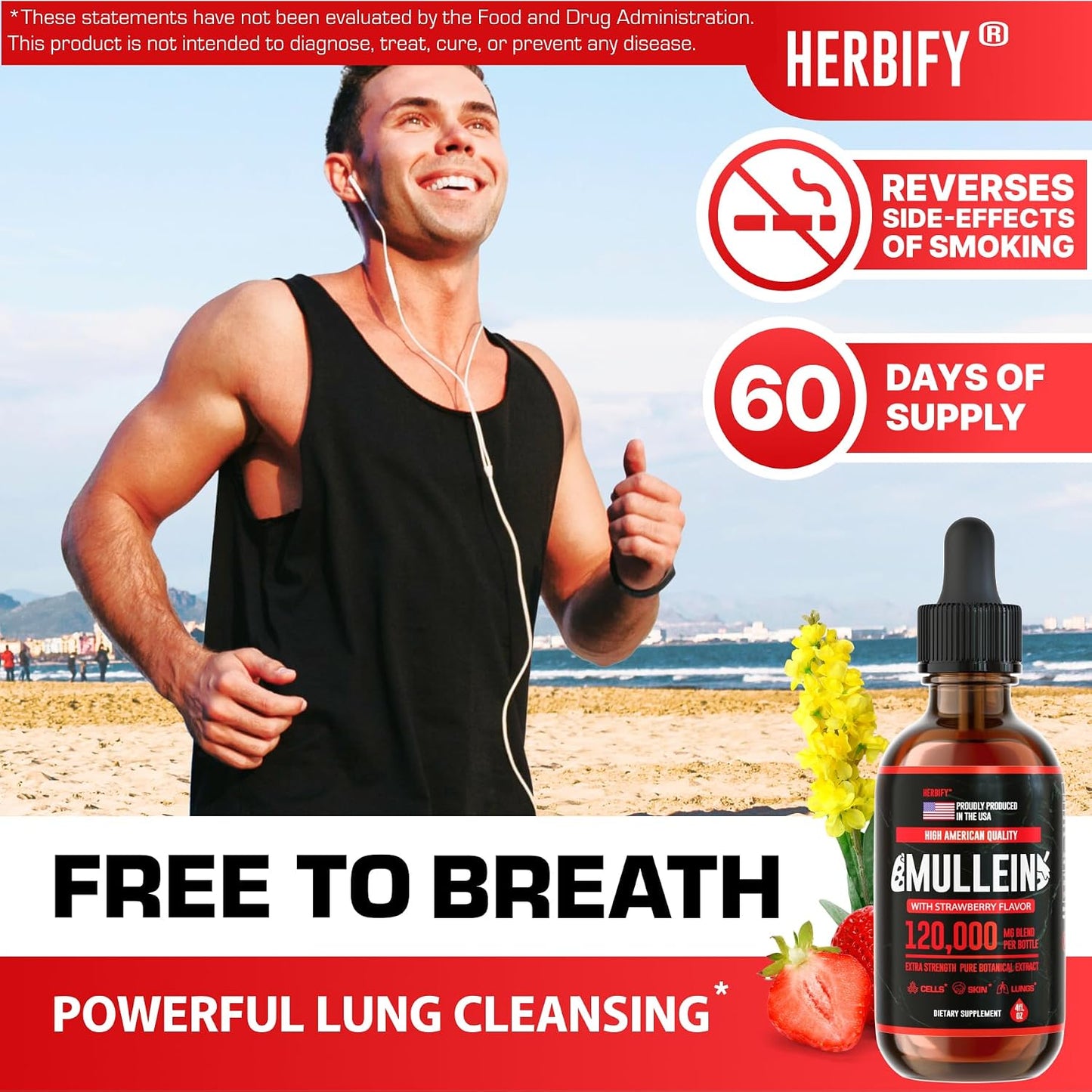 HERBIFY Bundle - Lions Mane & Mullein 4 Fl Oz Strawberry Drops - Supplement for Memory, Focus & Clarity & Immune Support, Lung Cleanse and Bronchial Support