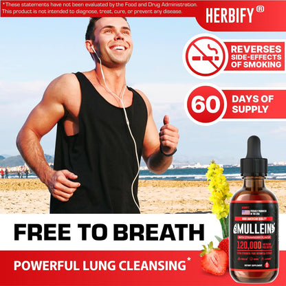 HERBIFY Bundle - Lions Mane & Mullein 4 Fl Oz Strawberry Drops - Supplement for Memory, Focus & Clarity & Immune Support, Lung Cleanse and Bronchial Support