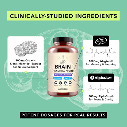 AMANDEAN Brain Supplement, Magnesium L-Threonate, Lions Mane, Alpha GPC