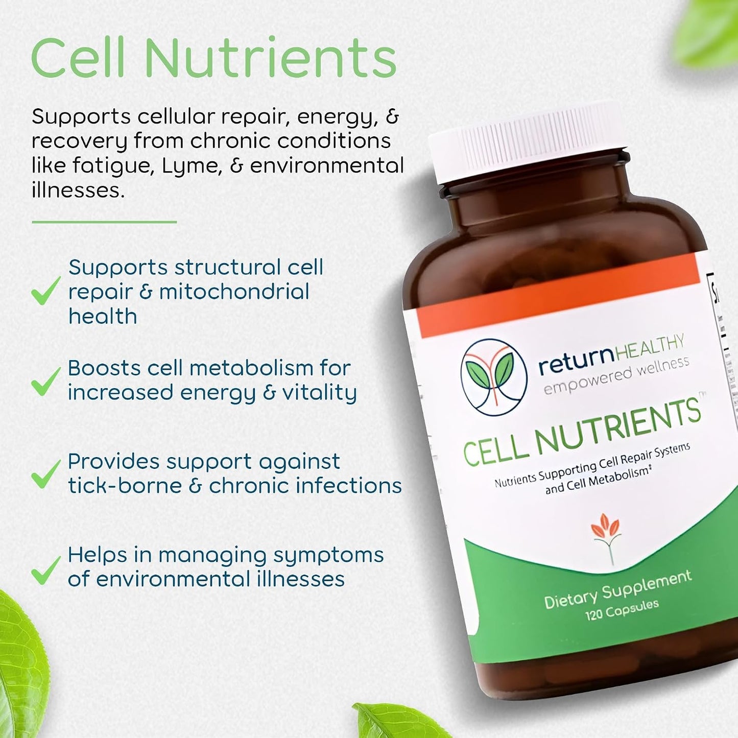 Cell Stabilization Kit - 5-in-1 Mitochondrial Supplements for Cellular Vitality, Gut Health & Brain Support - Health Essentials, Wellness Protocol - Non-GMO, Plant-Based, USA-Made