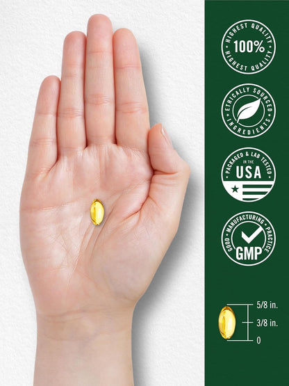 Carlyle Oregano Oil Supplement | 150 Softgel Capsules | Contains Carvacrol | Non-GMO & Gluten Free Formula