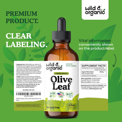Wild & Organic Olive Leaf Extract Liquid Drops - Immune & Antioxidant Support - Oleuropein Supplement - Add to Tea Olive Leaf Tincture - Vegan, Sugar & Alcohol Free - 4 fl oz