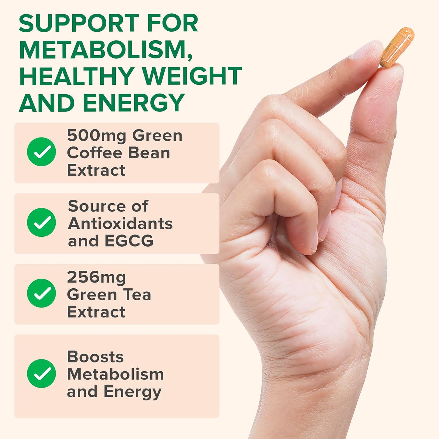 Zenwise Health Green Coffee Bean, Green Tea Extract Capsules - 60 CT | Capsules, 50% EGCG, 98% Polyphenols, Coffee Bean Extract, Antioxidant, Heart Brain & Metabolism Support