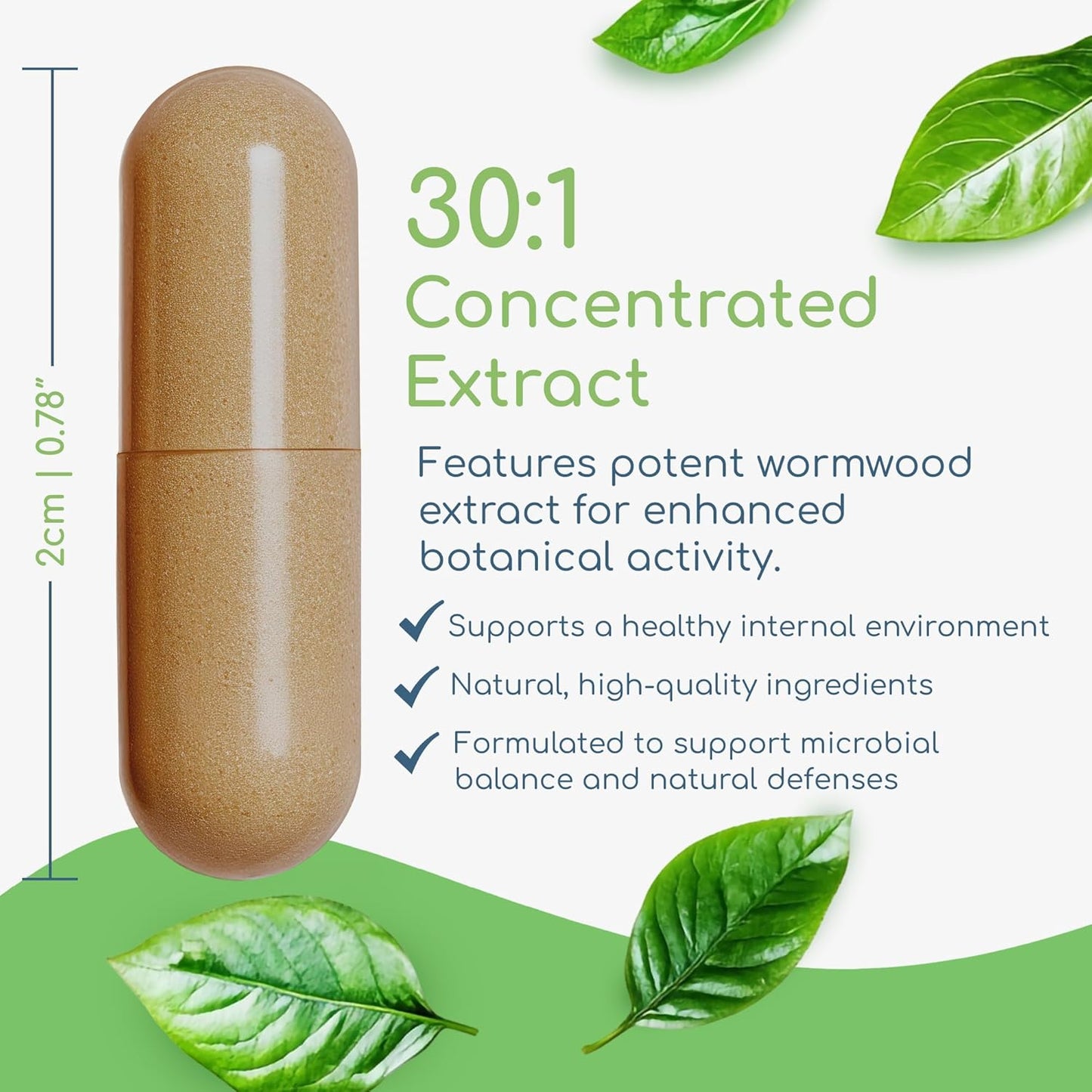 Artemisia Trinity | Cleansing for Adults with Wormwood Herb & Artemisinin 30:1 Extract | Resistance & Digestive Support | Herbal Supplements | Pure, Plant-Based, 90 Caps