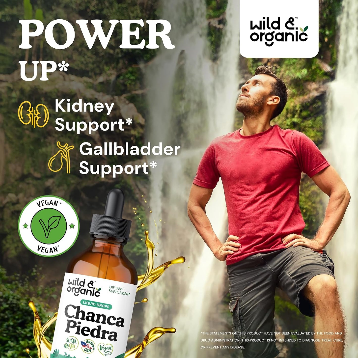 Wild & Organic Chanca Piedra Stone Breaker Drops - Kidney, Gallbladder & Urinary Support - Chanca Piedra Liquid Extract for Fast Absorption - Add to Tea Herb Tincture - Sugar & Alcohol-Free - 4 oz