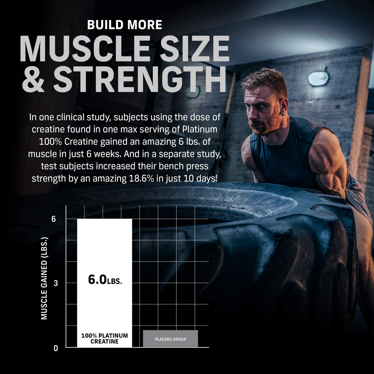 Muscletech Whey Protein Powder Phase8 Protein Powder & nohydrate Powder Platinum