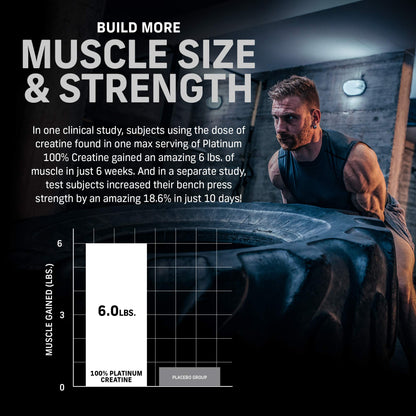 Muscletech Whey Protein Powder Phase8 Protein Powder & nohydrate Powder Platinum
