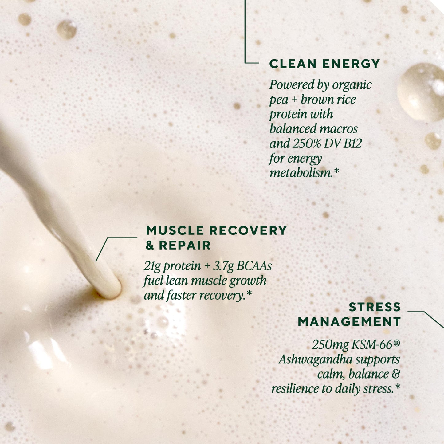 OM MUSHROOM SUPERFOOD Master Blend Vegan Protein – Organic Vanilla Plant Protein Powder, GLP-1 Friendly, Excellent Source of Protein, Good Source of Fiber, 10 Functional Mushrooms – 16 Servings