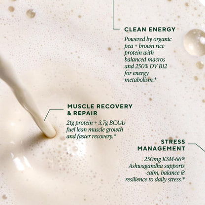 OM MUSHROOM SUPERFOOD Master Blend Vegan Protein – Organic Vanilla Plant Protein Powder, GLP-1 Friendly, Excellent Source of Protein, Good Source of Fiber, 10 Functional Mushrooms – 16 Servings