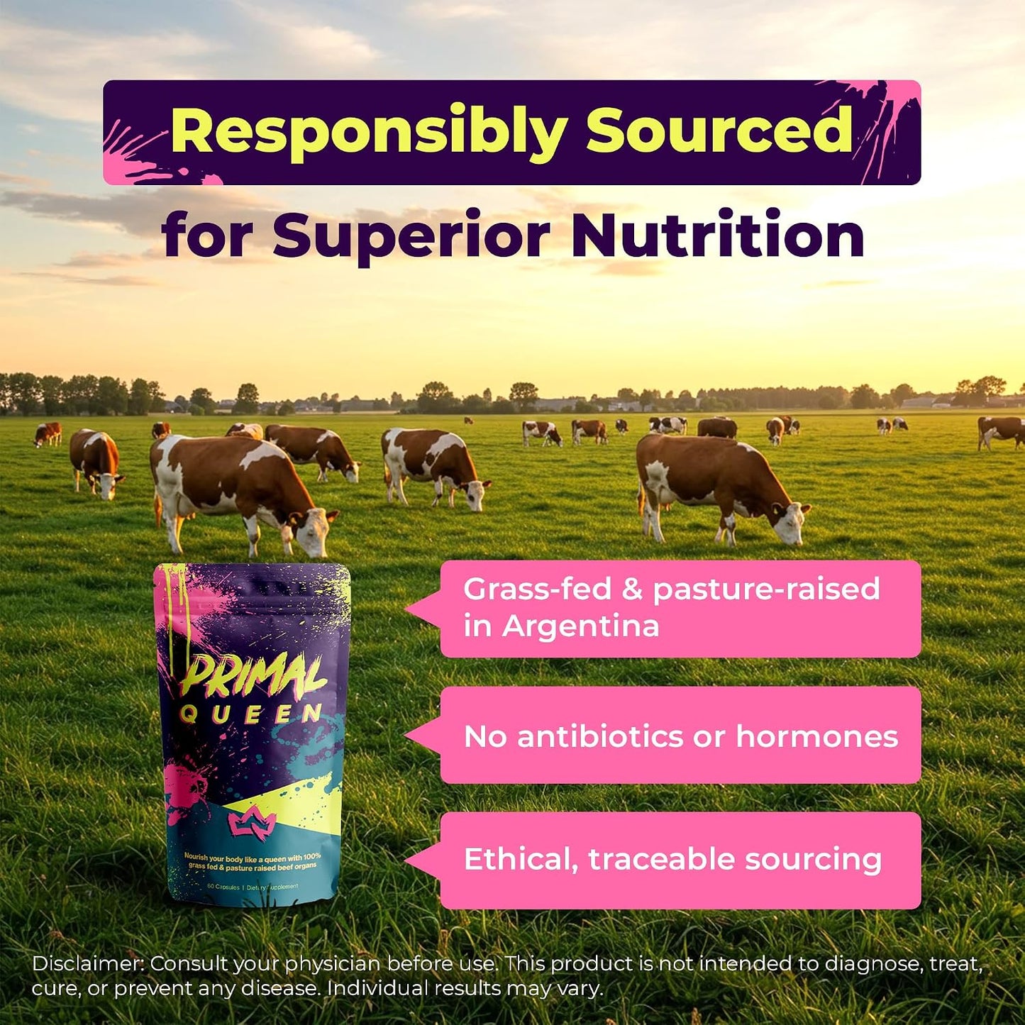 Primal Queen Beef Organ Superfood, Grass-Fed Liver Kidney Heart for Women | Female-Optimized Blend of 6 Pasture-Raised Organs for Hormone Balance, Energy and Vitality; 3rd-Party Tested