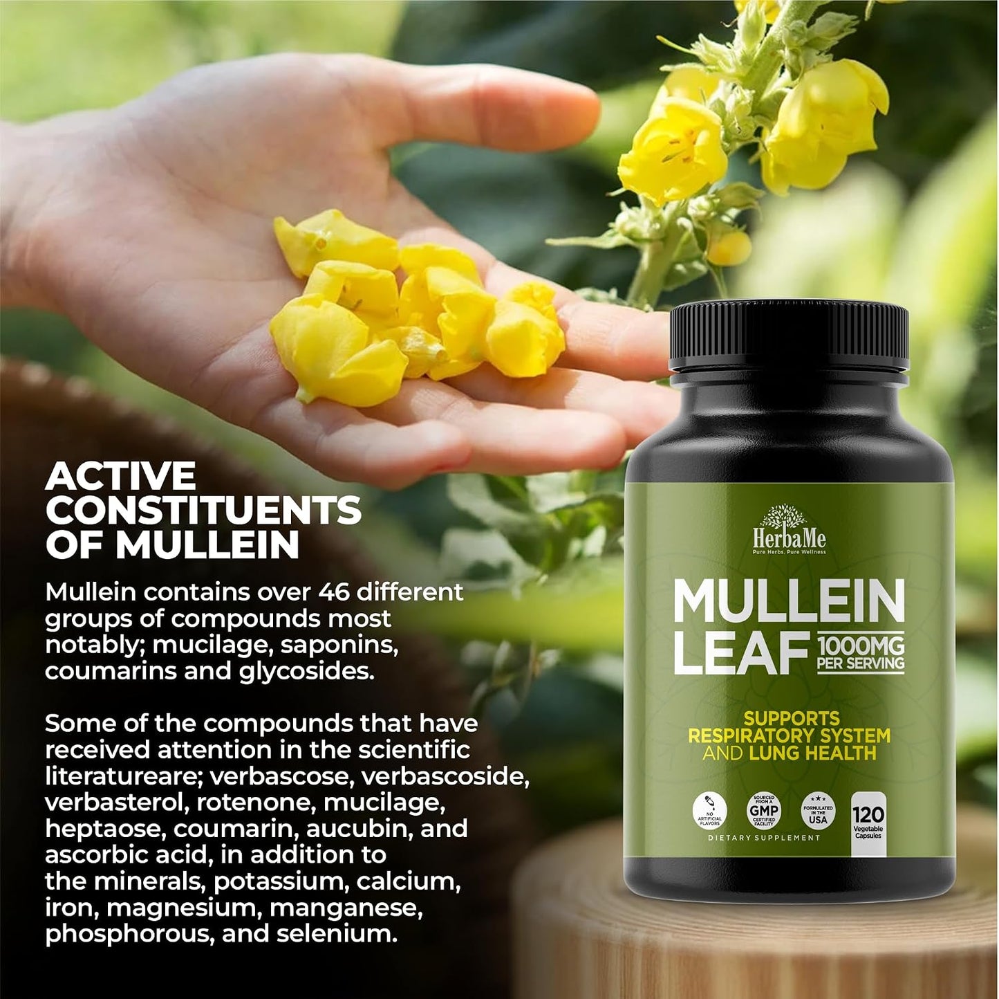 HerbaMe Mullein Leaf 1000mg, 120 Capsules - Daily Respiratory Support Supplement, Supports Breathing Comfort & Mucus Balance, Herbal Lung Support for Smokers, Men & Women