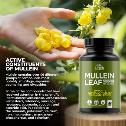 HerbaMe Mullein Leaf 1000mg, 120 Capsules - Daily Respiratory Support Supplement, Supports Breathing Comfort & Mucus Balance, Herbal Lung Support for Smokers, Men & Women