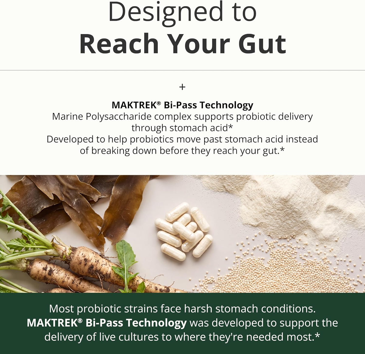 Probiotics for Women & Men, 40 Billion CFU Prebiotics for Gut Health 60 Ct