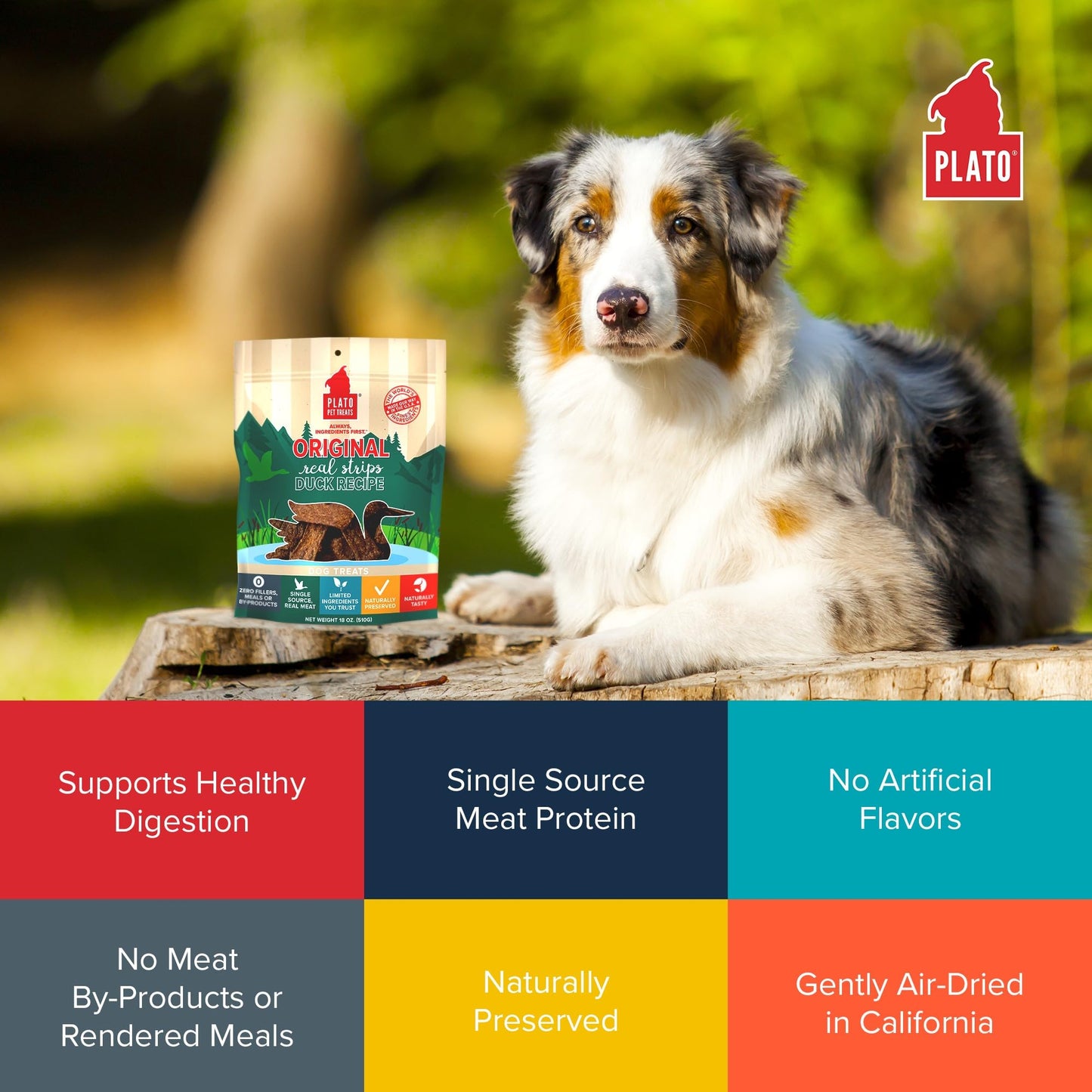 Plato Real Strips Salmon Recipe Dog Treats, Air-Dried High-Protein Soft Strips, Omega-Rich Skin & Coat Support, 18 oz
