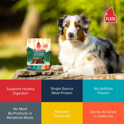 Plato Real Strips Salmon Recipe Dog Treats, Air-Dried High-Protein Soft Strips, Omega-Rich Skin & Coat Support, 18 oz