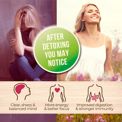 Numami Organic Detox Blueberry Smoothie Powder with Healthy Spirulina, Atlantic Dulse