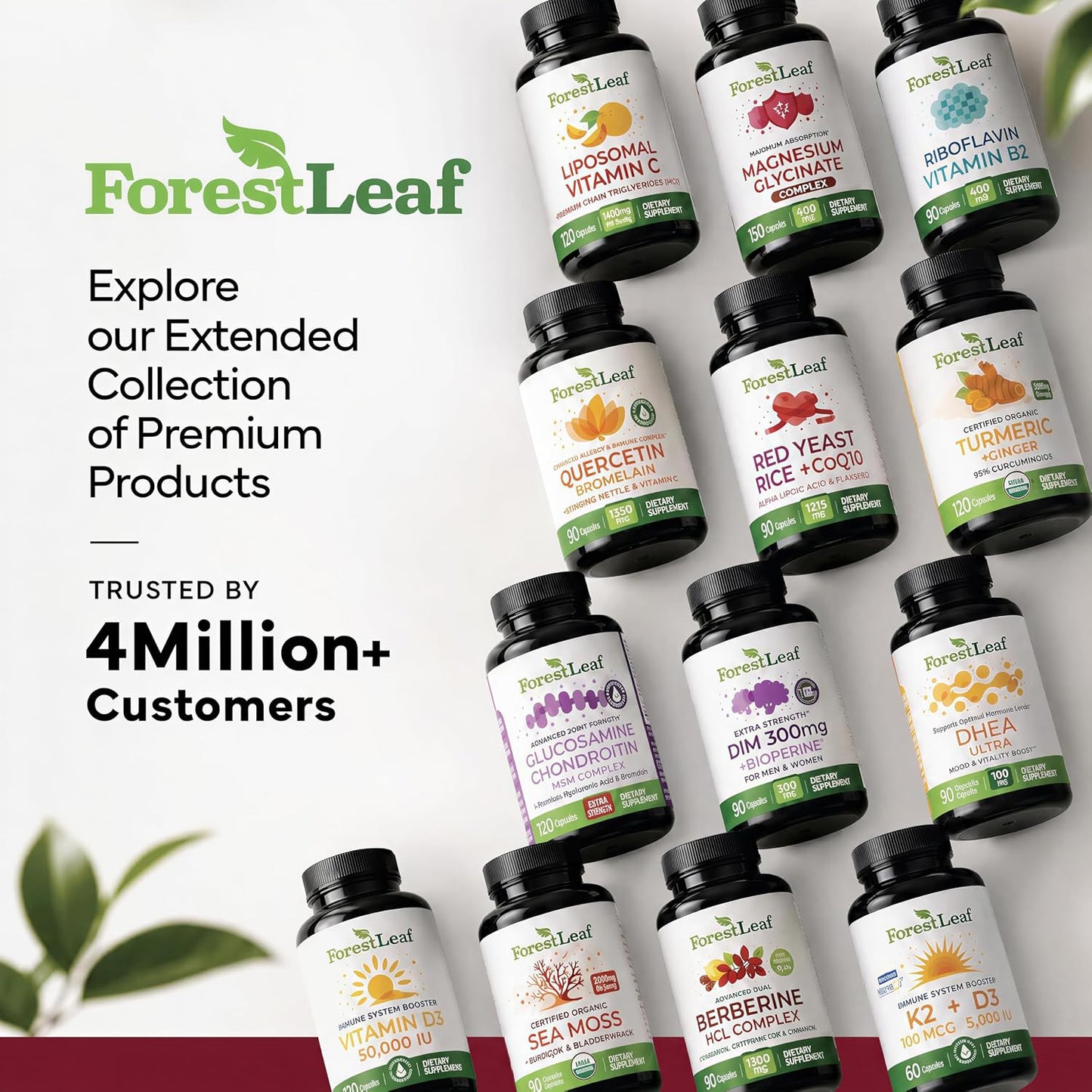 ForestLeaf USDA Organic Beet Root Capsules - Beetroot Supplement 1000mg 20:1 Extract w/Ginger Grape Seed - Support Blood Pressure, Nitric Oxide, Flow, Circulation - Made in USA - 120 Caps