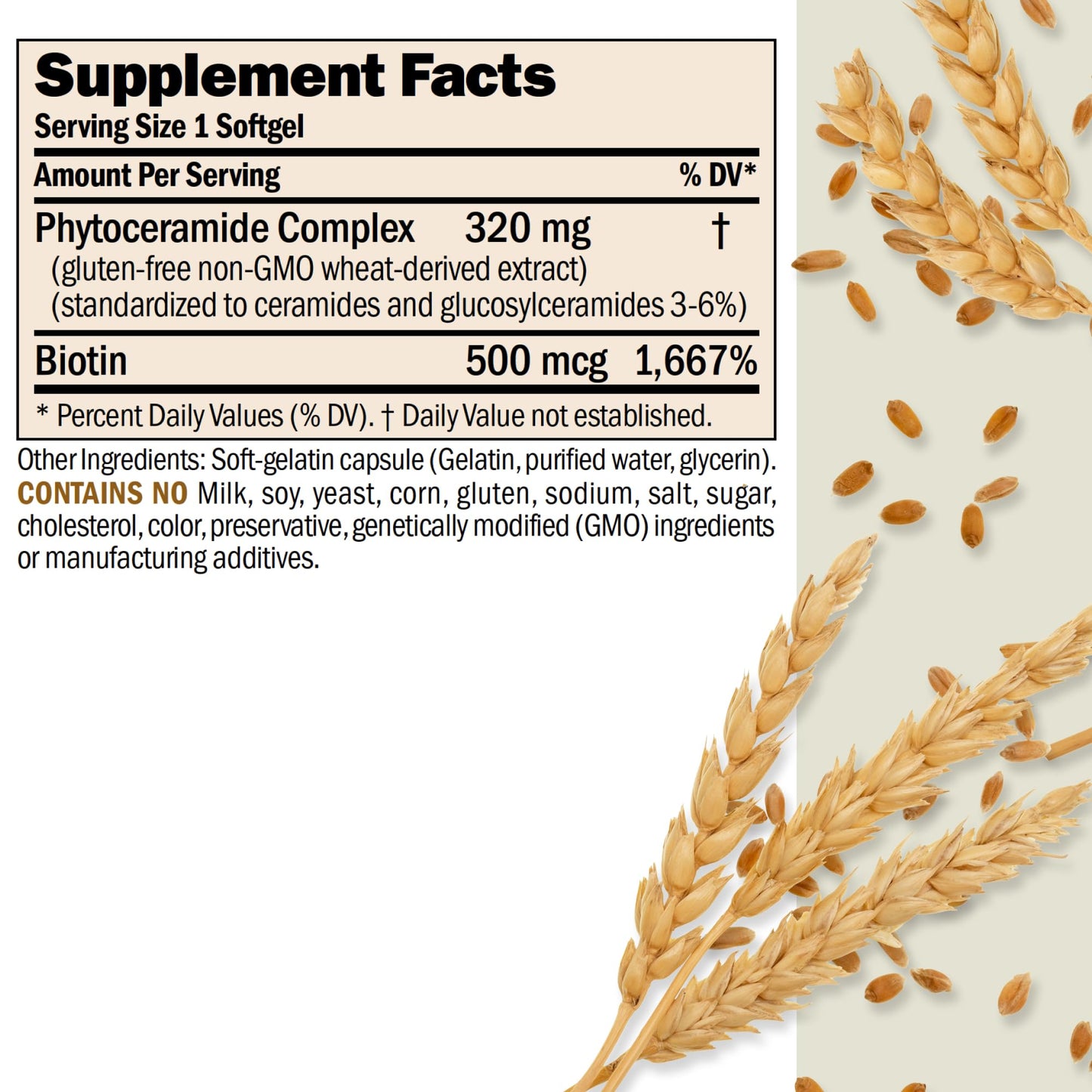 ANDREW LESSMAN Phytoceramides Skin Supplement, 60 Capsules | Plant-derived phytoceramides help support skin hydration, elasticity and a healthy-looking complexion from within.