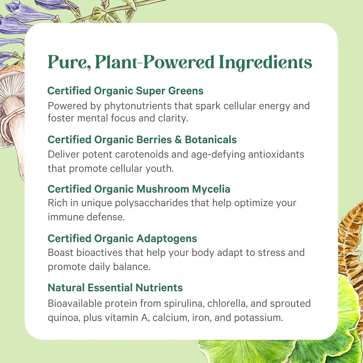 PURE SYNERGY Organic Superfood Powder | Green Superfood Powder | Whole Food Supplement with Organic Greens, Spirulina and Mushrooms | for Energy, Healthy Aging, and Immune Health (12.5 oz)