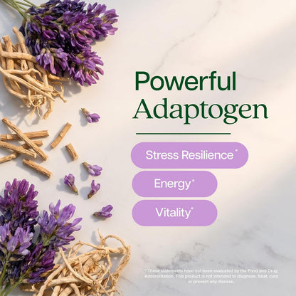 Astragalus Root, 8 Month Supply, Immune Support, 20:1 Astragalus Extract | 20:1 Astragalus Extract, 70% Polysaccharides, High-Concentration Adaptogen Support for Energy & Vitality, Vegan, 250 Capsules