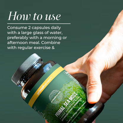 Primal Harvest Sea Moss – Daily Vegan Supplement, Dairy & Soy Free