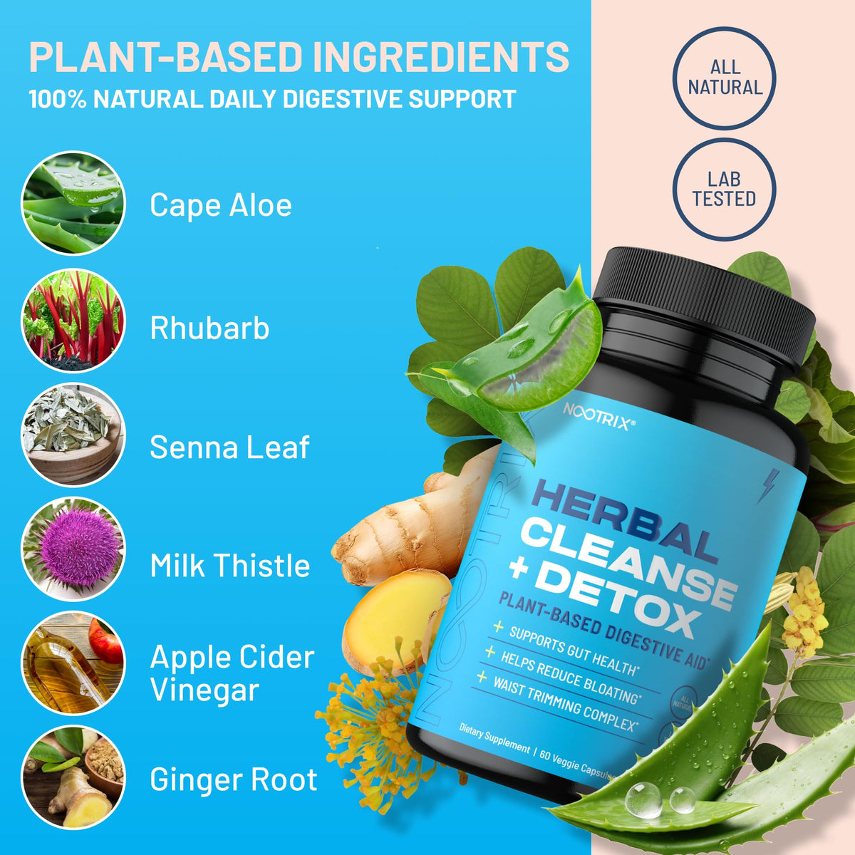 Nootrix Herbal Cleanse + Detox Cleanse for Weight Loss Products | 15 Day Gut Cleanse