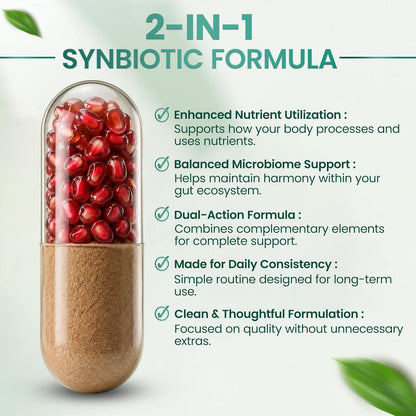Resilia Synbiotic Probiotic + Prebiotic Supplement for Women & Men – 53.6 Billion AFU, 18 Strains, Shelf-Stable Capsules with Polyphenols, Digestive & Gut Balance Support, 60 Capsules