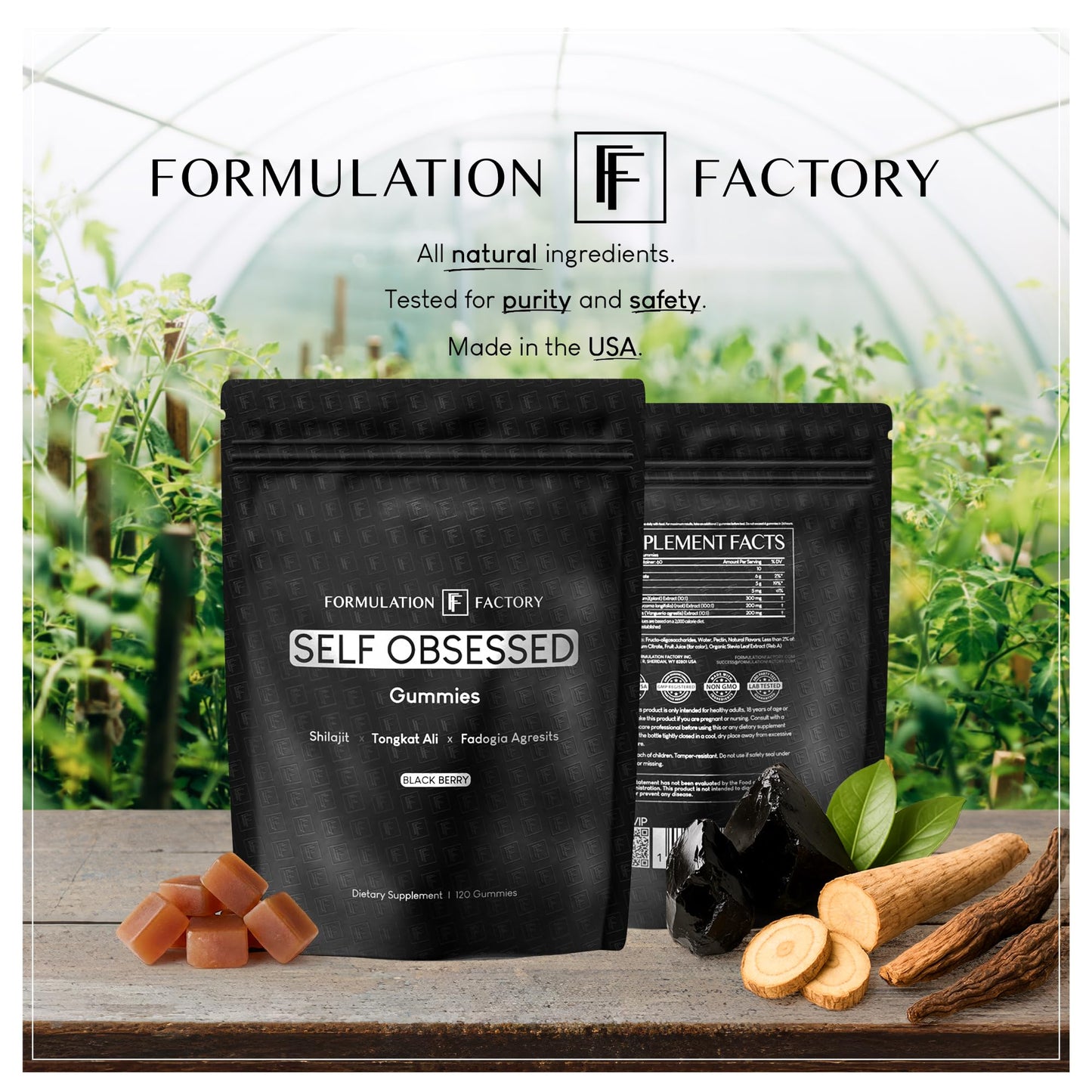 Formulation Factory Self Obsessed 10-in-1 Natural Testosterone Booster for Men, Testosterone Supplement for Men with Shilajit, Tongkat Ali, Fadogia Agrestis, 120 Capsules, 2 Month Supply