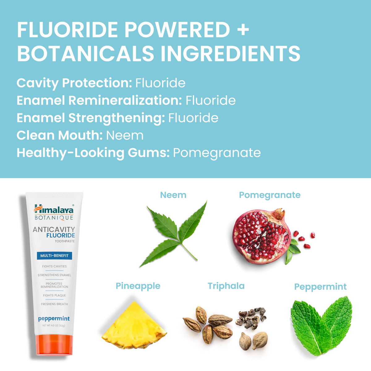 Himalaya Botanique Anticavity Fluoride Toothpaste, Fluoride with Multi-Benefit Support, Fights Cavities, Strengthens Enamel, Promotes Remineralization, Mint Flavor, 4 oz.