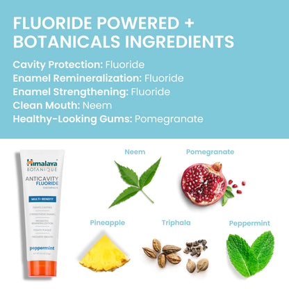 Himalaya Botanique Anticavity Fluoride Toothpaste, Fluoride with Multi-Benefit Support, Fights Cavities, Strengthens Enamel, Promotes Remineralization, Mint Flavor, 4 oz.