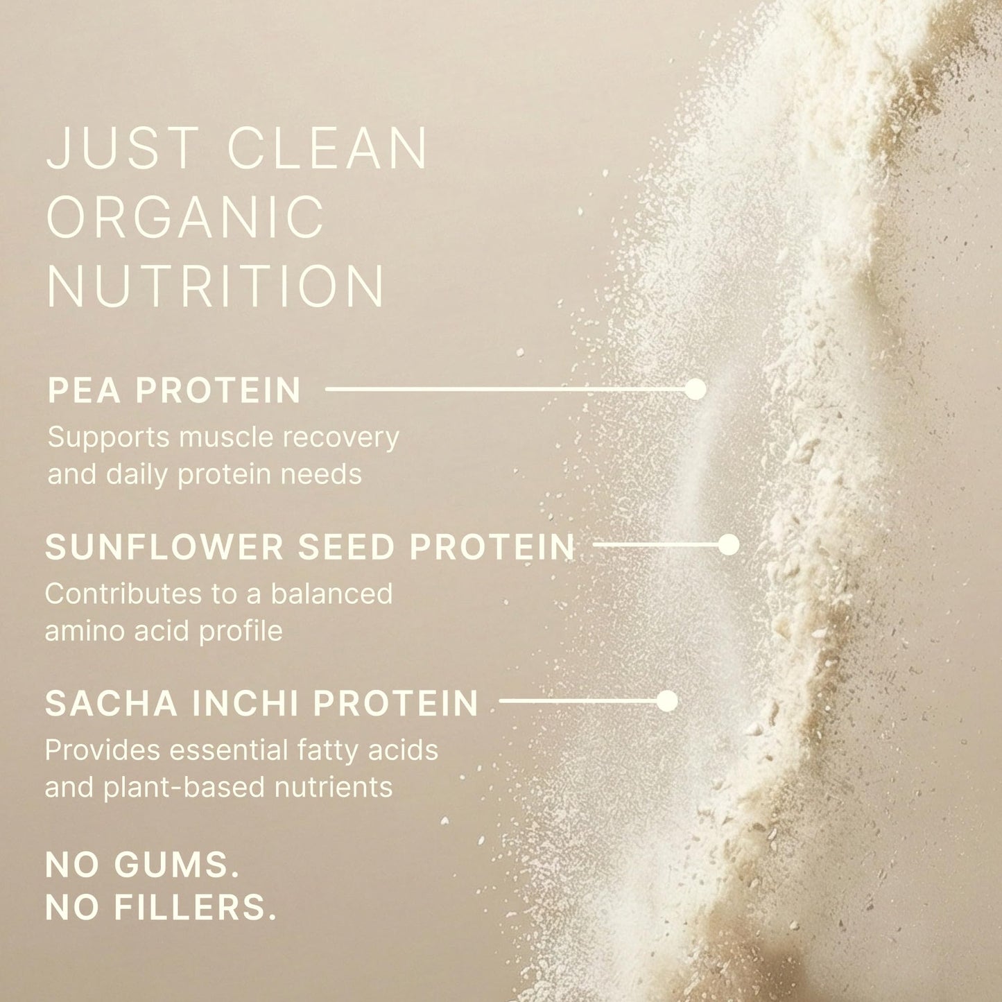 Dr. Murray's USDA Organic Plant Based Protein Powder | 20g Protein | 6g Fiber | Vegan & Keto | Gluten & Dairy Free | Low Carb | No Added Sugar | Matcha, 1 lb.
