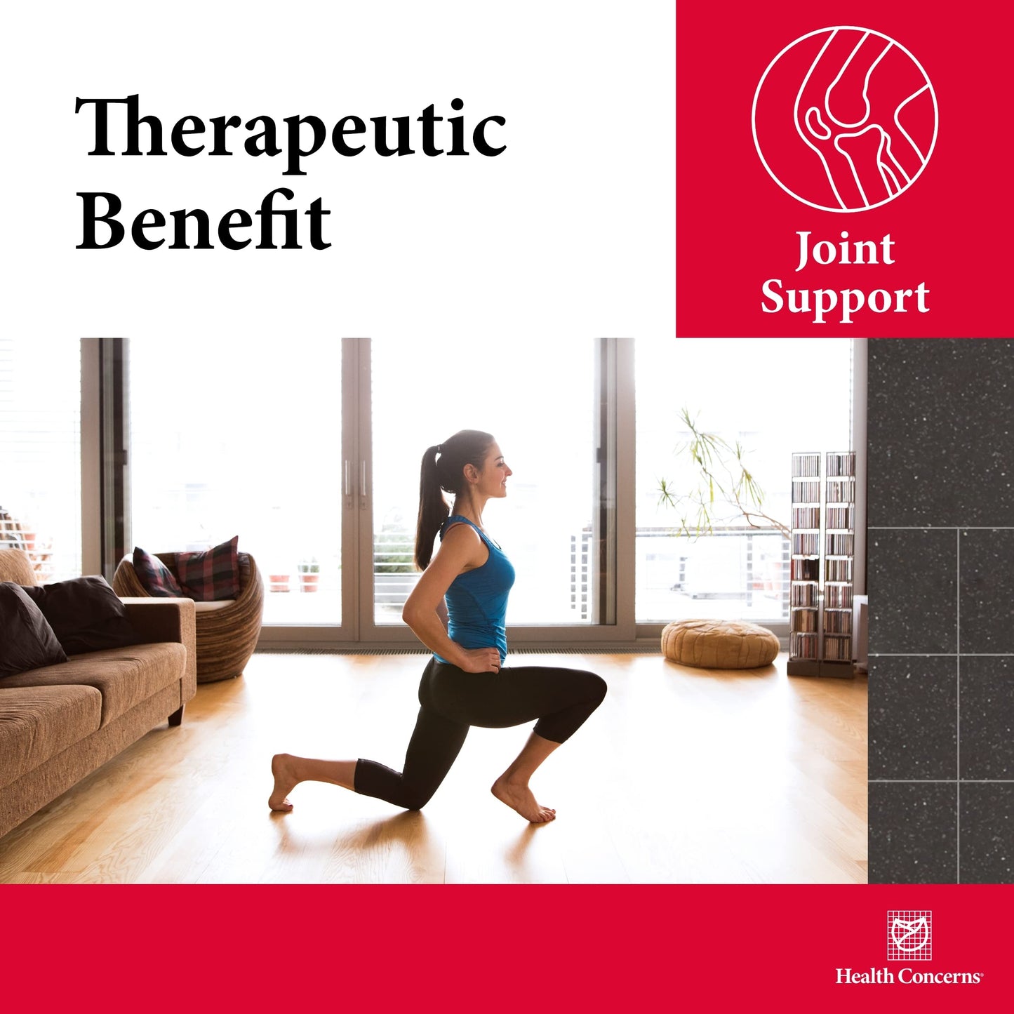 Health Concerns Mobility 2 – Joint Health Support Supplement for Men & Women – Chinese Herbal Circulation Support – Natural Joint & Muscle Aid – Herbal Extracts – 90 Capsules