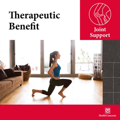 Health Concerns Mobility 2 – Joint Health Support Supplement for Men & Women – Chinese Herbal Circulation Support – Natural Joint & Muscle Aid – Herbal Extracts – 90 Capsules