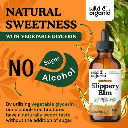 Wild & Organic Slippery Elm Liquid Drops - Lung, Digestive & Women's Support - Slippery Elm Bark Supplement - Add to Tea Tincture - Ulmus Rubra Herb - Vegan, Sugar & Alcohol-Free - 4 fl oz