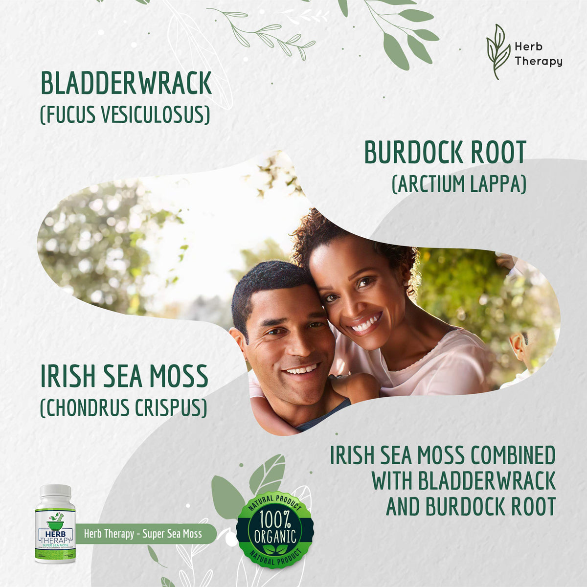 Herb Therapy Sea Moss Capsules 100 Pack - Irish Sea Moss with Bladderwrack