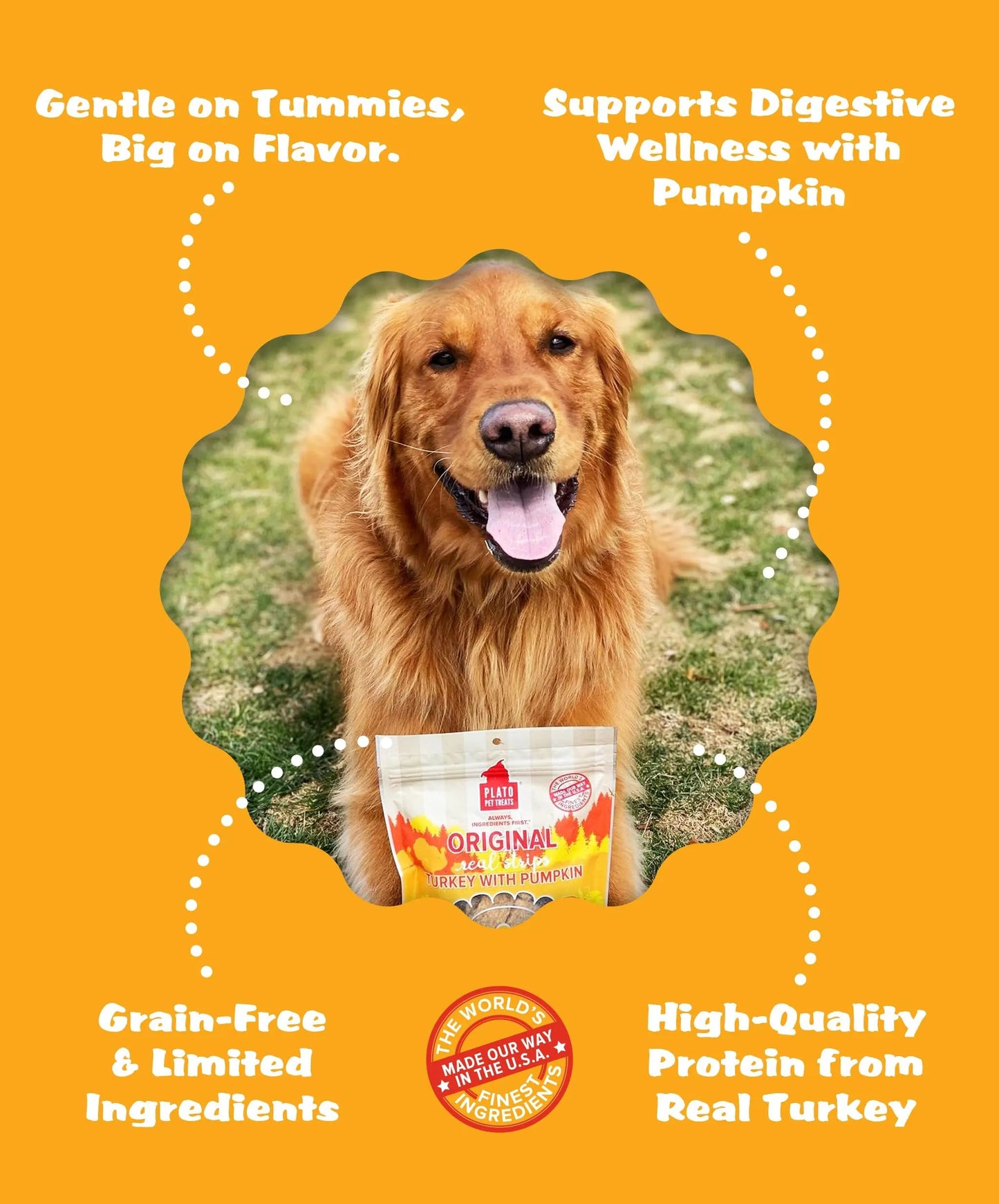 Plato Pet Treats Real Strips - Air-Dried Meat Bars for Dogs - Delicious, Limited Ingredient Dog Treats - Grain Free - Original Real Strips Turkey & Pumpkin 18oz - 2 Pack