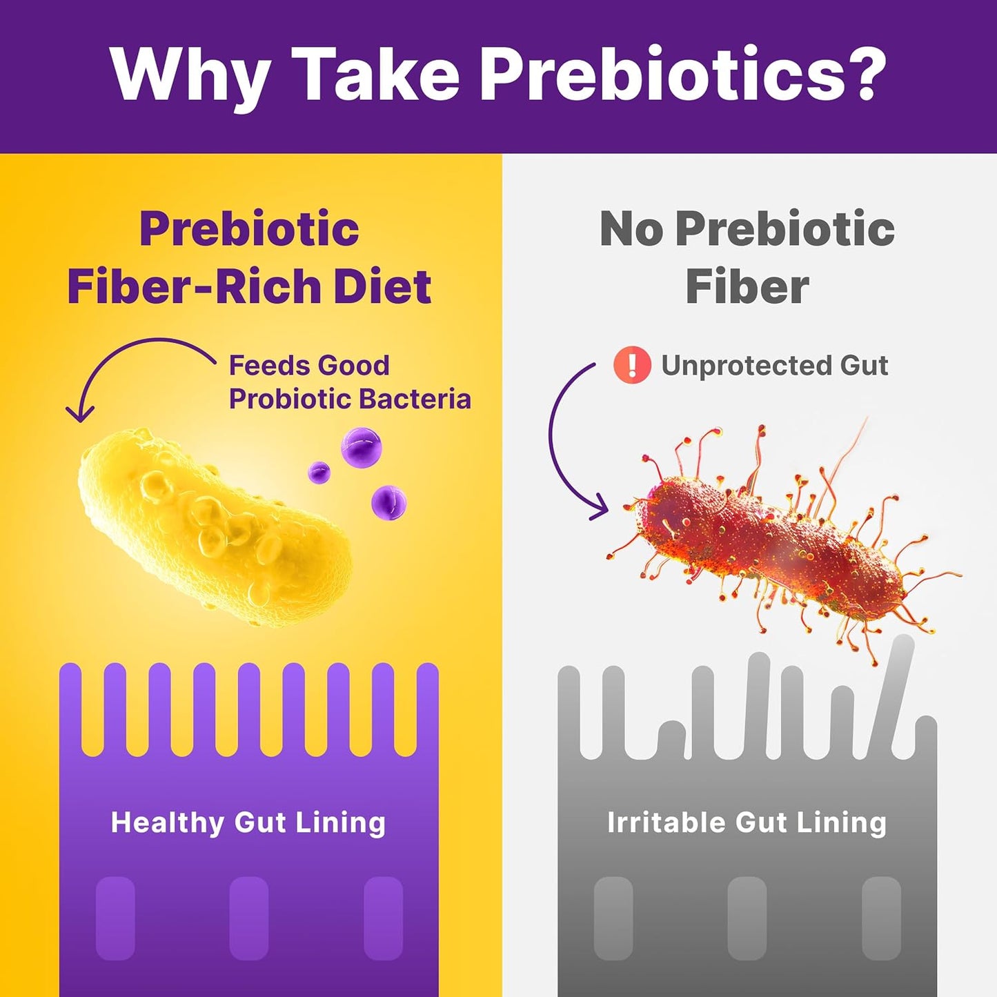 InnovixLabs Prebiotic Fiber Powder for Digestive & Gut Health, High Fiber Supplement for Women & Men, Made with Chicory Root, Acacia Fiber, Inulin & Soluble Fibers, Sugar-Free, Vegan, 30-Day Supply