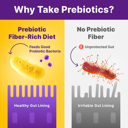 InnovixLabs Prebiotic Fiber Powder for Digestive & Gut Health, High Fiber Supplement for Women & Men, Made with Chicory Root, Acacia Fiber, Inulin & Soluble Fibers, Sugar-Free, Vegan, 30-Day Supply