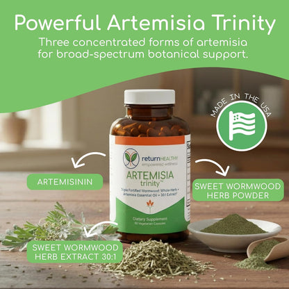 Artemisia Trinity | Cleansing for Adults with Wormwood Herb & Artemisinin 30:1 Extract | Resistance & Digestive Support | Herbal Supplements | Pure, Plant-Based, 90 Caps