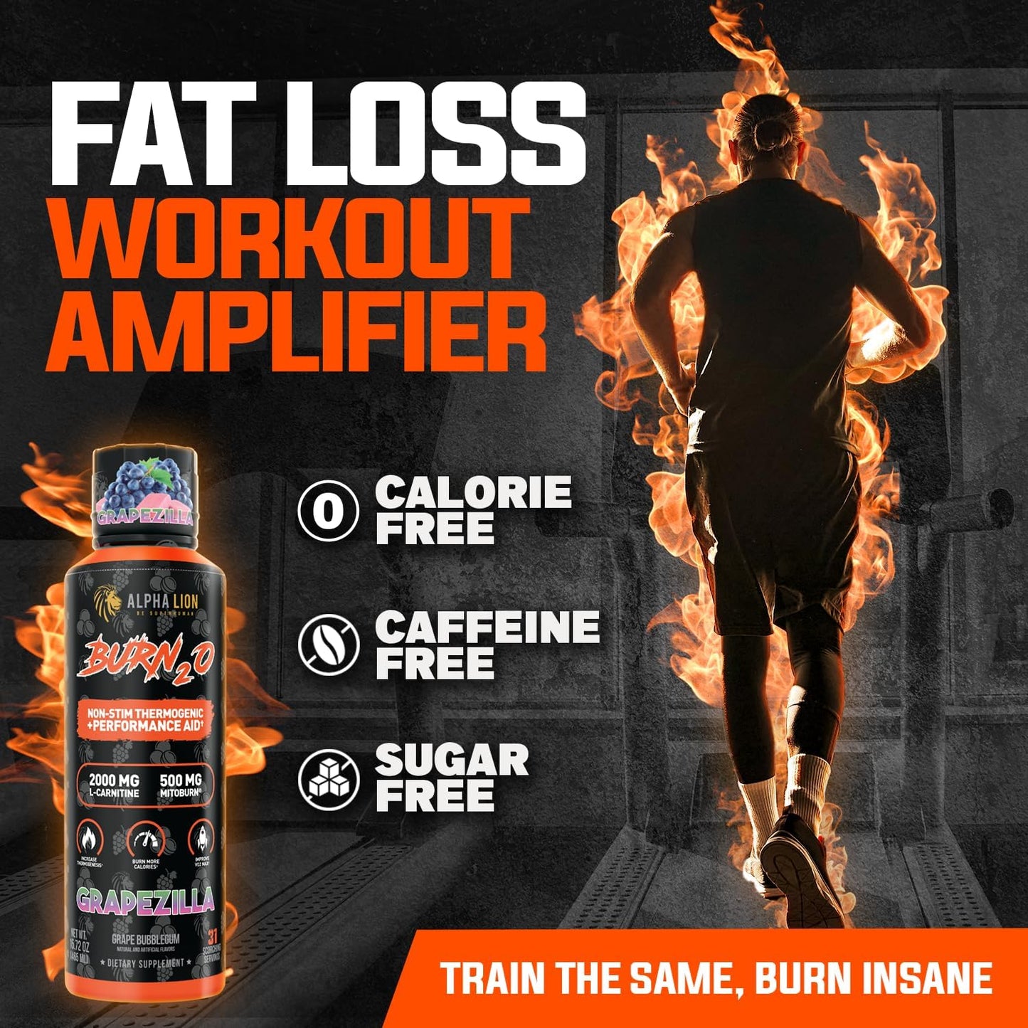 ALPHA LION Burn2O L-Carnitine Liquid 2000mg – Stim Free Super Thermogenic Fat Burner with MitoBurn® & CaloriBurn GP®, Metabolism Booster, Zero Calorie, Sugar-Free (31 Servings, Grapezilla Flavor)