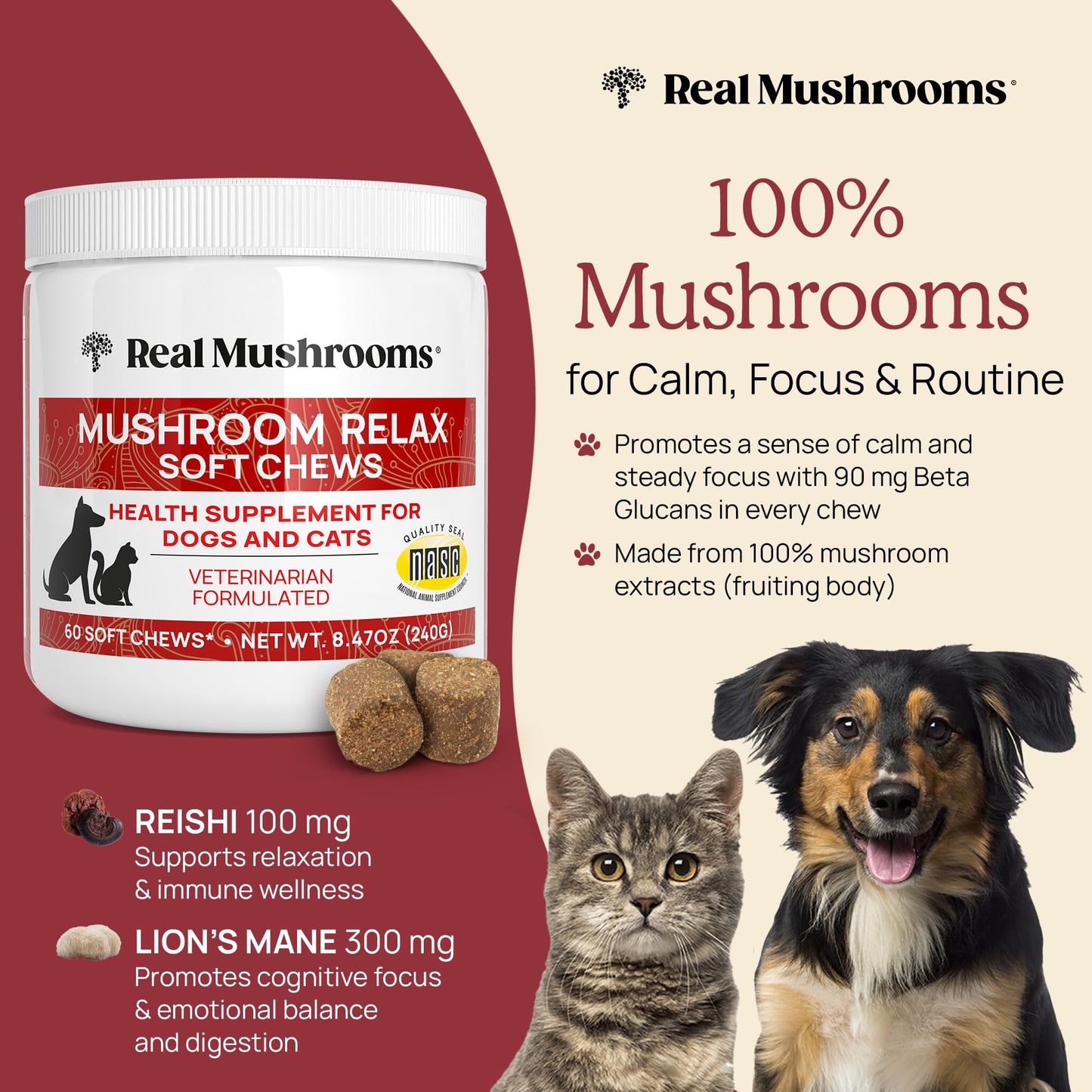 Real Mushroom Immune Pet Chews – For Daily Digestive & Immune Health – Mushrooms for Dogs & Cats Functional Treat – Mushroom Supplement for Dogs & Cats – 1 to 4 Chews For All Breeds & Sizes (60 Count)