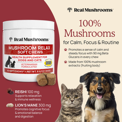 Real Mushroom Immune Pet Chews – For Daily Digestive & Immune Health – Mushrooms for Dogs & Cats Functional Treat – Mushroom Supplement for Dogs & Cats – 1 to 4 Chews For All Breeds & Sizes (60 Count)