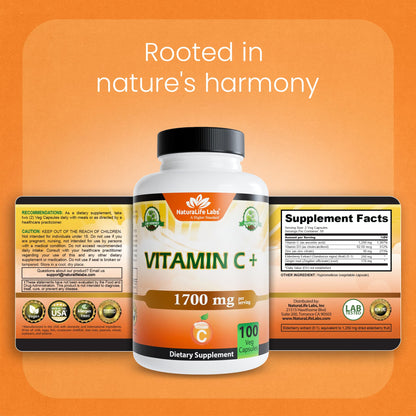 NaturaLife Labs Vitamin C with Vitamin D3, Zinc, Elderberry & Ginger Root – 1,700 mg per Serving – 100 Capsules, Vegan, Non-GMO, Gluten Free