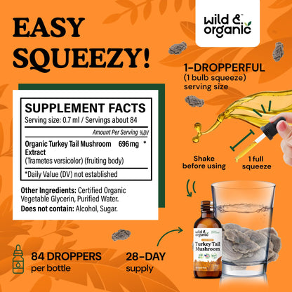 Wild & Organic Turkey Tail Mushroom Tincture - Immune Support Drops with Turkey Tail Extract - Liquid Mushroom Supplement for Gut Support - Vegan, Sugar & Alcohol-Free - 4 fl oz