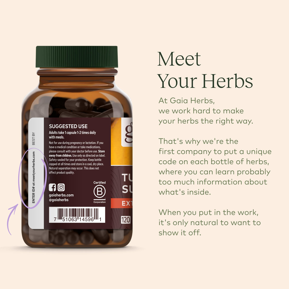 Gaia Herbs Astragalus Supreme - Immune and Antioxidant Support Herbal Supplement