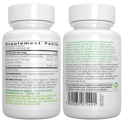 Igennus Neurobalance High Absorption Zinc Magnesium & B6 Complex | Cognitive Support, Calm Focus & Relaxation, Chelated Zinc & Fully Reacted Magnesium, Vegan, Non-GMO, 120 Small Tablets
