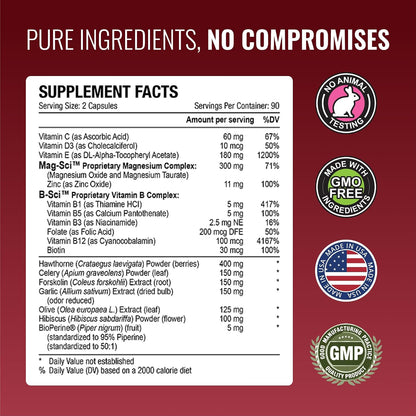 Approved Science Bloodsyl - Blood Pressure Support Supplement - Supports BP Levels Already Within Normal Range - Hawthorn Berry, Garlic, Magnesium and Hibiscus Pills - Vegan - 180 Capsules, 3 Months