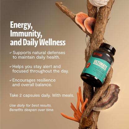 Premium Organic Mushroom Coffee – 12:1 Fruiting Body Extract – 29% Beta-Glucans – Smooth Tasting, 3rd-Party Tested for Clean Energy, No Jitters, Focus, Immune Support (15 Servings)