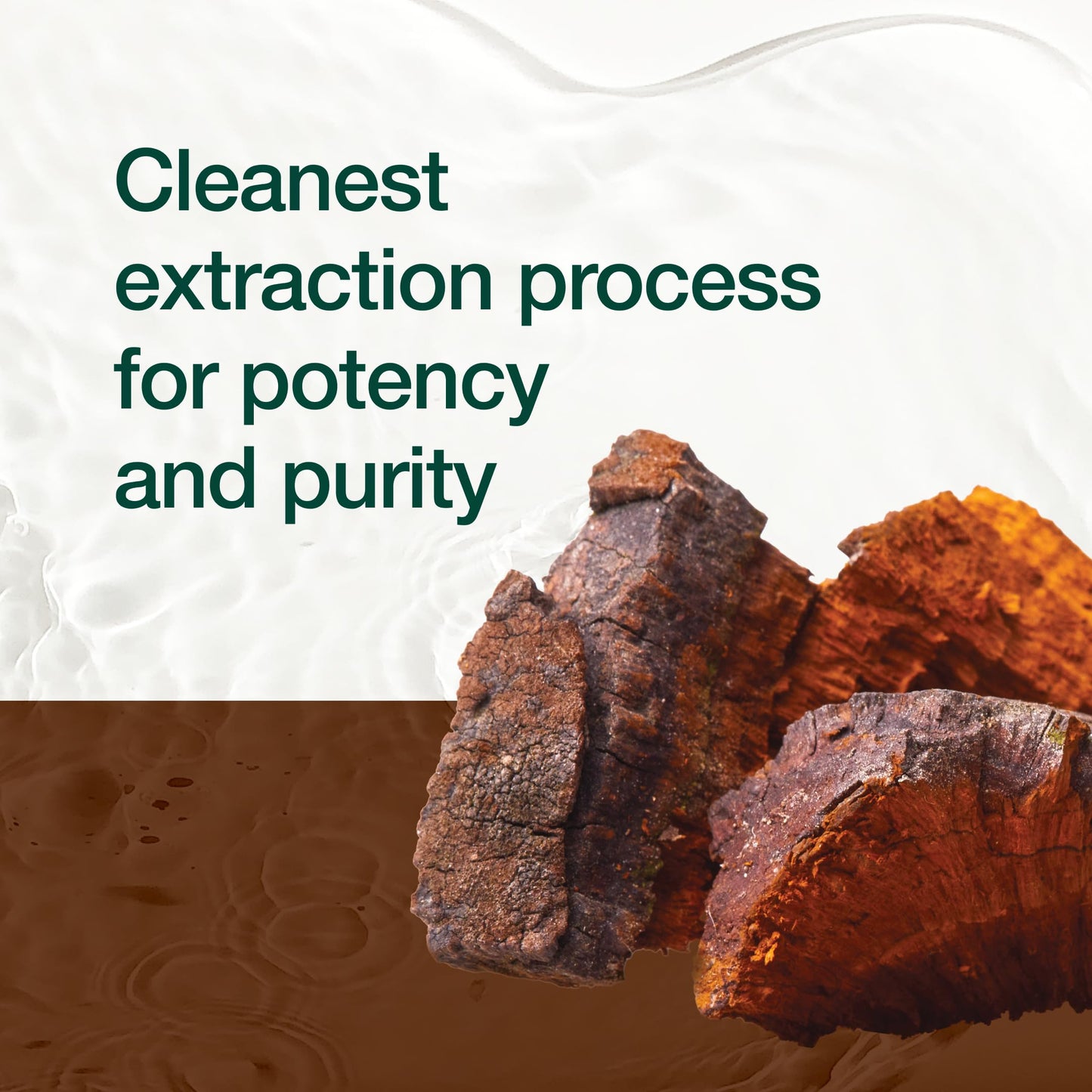 Fresh Nutrition Organic Chaga Mushrooms – Strongest DNA Verified 1500mg Per Serving – High in Fiber – Non GMO, Gluten & Soy Free, Vegan Friendly