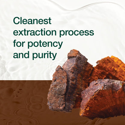 Fresh Nutrition Organic Chaga Mushrooms – Strongest DNA Verified 1500mg Per Serving – High in Fiber – Non GMO, Gluten & Soy Free, Vegan Friendly